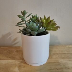 Chic White Planter with Lush Green Succulents
